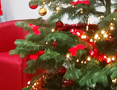 Weihnachtssaison 2025 ist offiziell bei der FAG eingeläutet…..